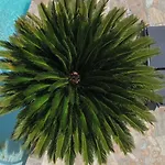 Villa A Casa Di Ficu A 14kms D'ajaccio Et Des Plages Avec Piscine Jacuzzi Petanque Sans Vis A Vis Peri