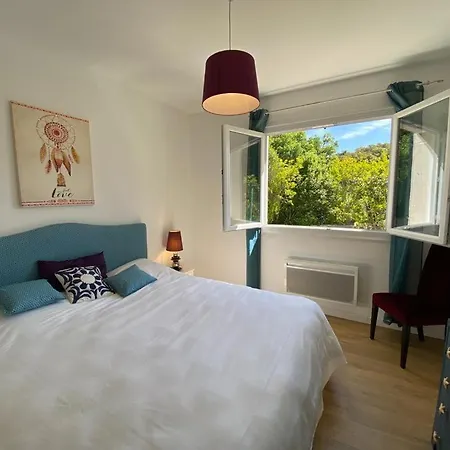 A Casa Di Ficu A 14kms D'ajaccio Et Des Plages Avec Piscine Jacuzzi Petanque Sans Vis A Vis Peri