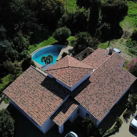 A Casa Di Ficu A 14kms D'ajaccio Et Des Plages Avec Piscine Jacuzzi Petanque Sans Vis A Vis *