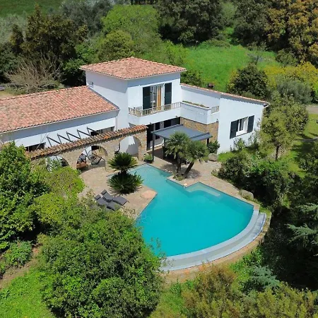 A Casa Di Ficu A 14kms D'ajaccio Et Des Plages Avec Piscine Jacuzzi Petanque Sans Vis A Vis 빌라