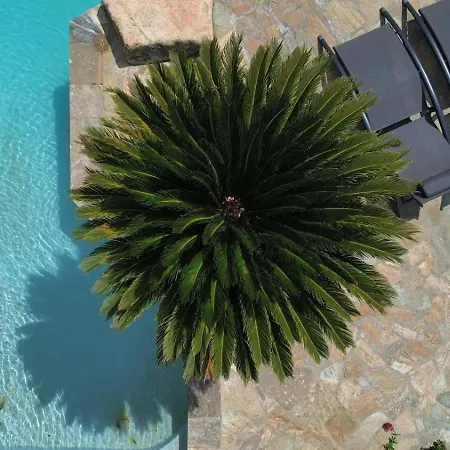 A Casa Di Ficu A 14kms D'ajaccio Et Des Plages Avec Piscine Jacuzzi Petanque Sans Vis A Vis Peri