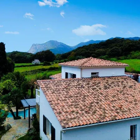 A Casa Di Ficu A 14kms D'ajaccio Et Des Plages Avec Piscine Jacuzzi Petanque Sans Vis A Vis * Peri