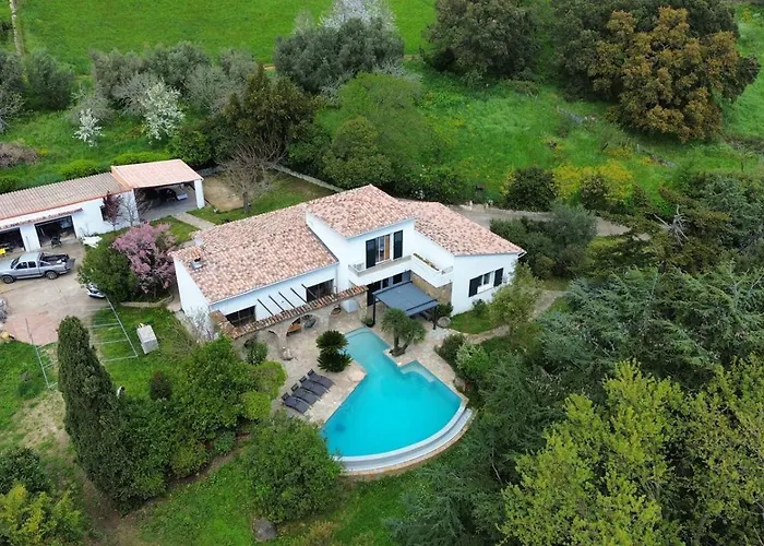 Villa A Casa Di Ficu A 14kms D'ajaccio Et Des Plages Avec Piscine Jacuzzi Petanque Sans Vis A Vis