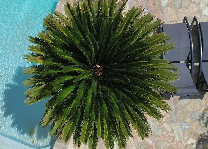 Villa A Casa Di Ficu A 14kms D'ajaccio Et Des Plages Avec Piscine Jacuzzi Petanque Sans Vis A Vis Peri