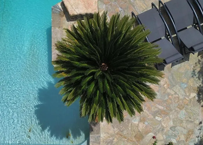 A Casa Di Ficu A 14kms D'ajaccio Et Des Plages Avec Piscine Jacuzzi Petanque Sans Vis A Vis Peri