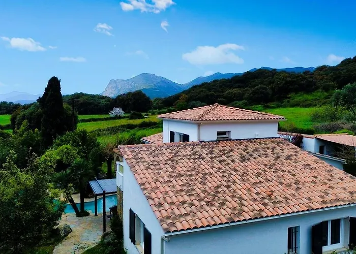 A Casa Di Ficu A 14kms D'ajaccio Et Des Plages Avec Piscine Jacuzzi Petanque Sans Vis A Vis * Peri